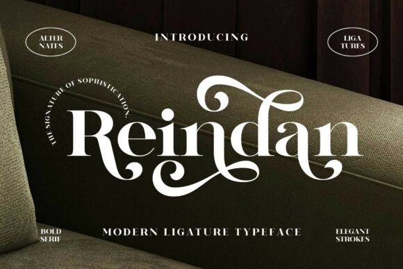 Reindan Font Review: Vintage Serif for Makers